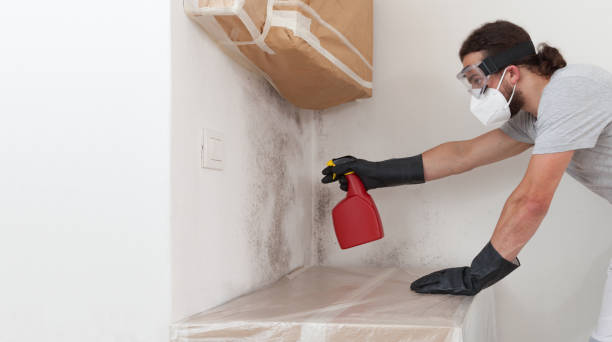 Professional Bathroom Mold Removal technician working in Teterboro, NJ
