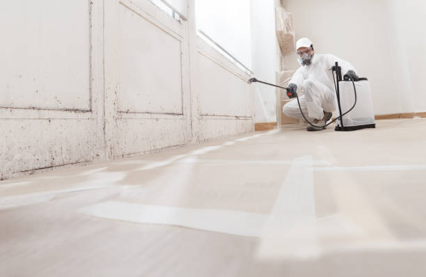 24/7 Emergency Bathroom Mold Removal experts in Teterboro, NJ